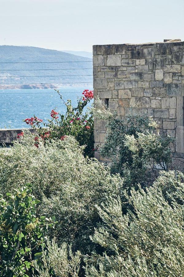 Nikolaou Art Residence Aegina Exterior photo