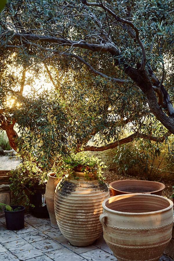 Nikolaou Art Residence Aegina Exterior photo
